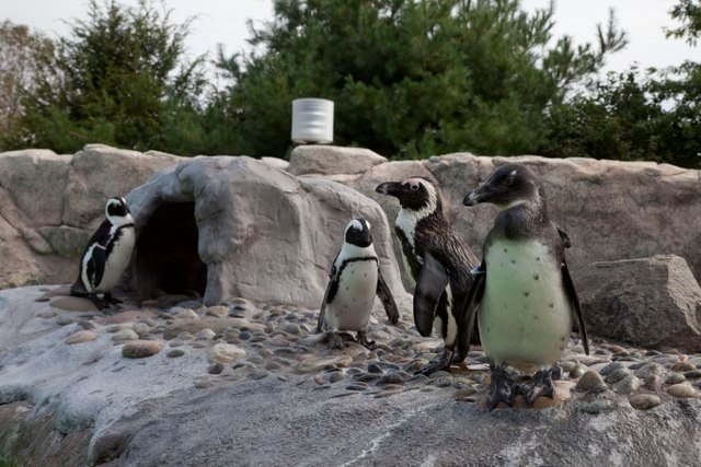 Mystic Connecticut Aquarium